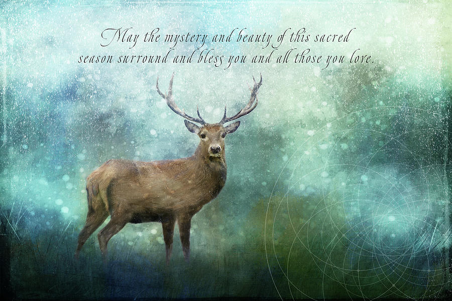 Deer Digital Art - Christmas Mystery by Terry Davis