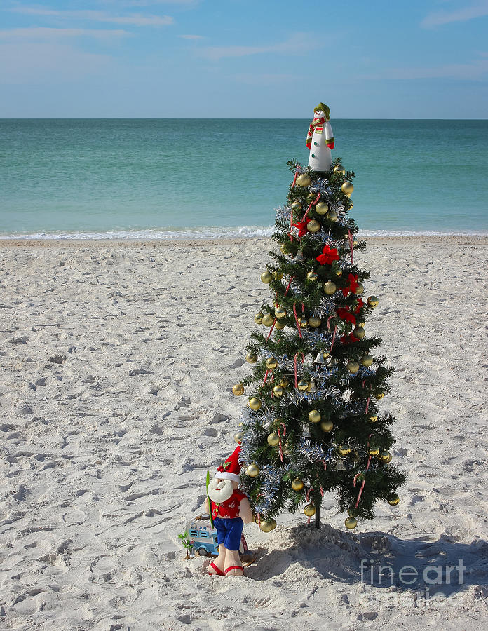 Christmas Photograph - Christmas on the Beach by Liesl Walsh