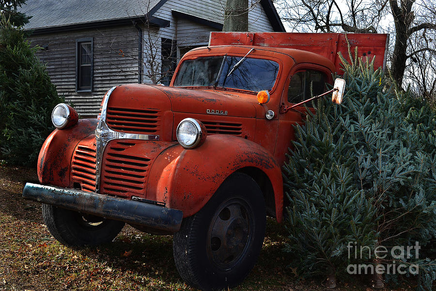 Christmas on the Farm Photograph by Amy Lucid