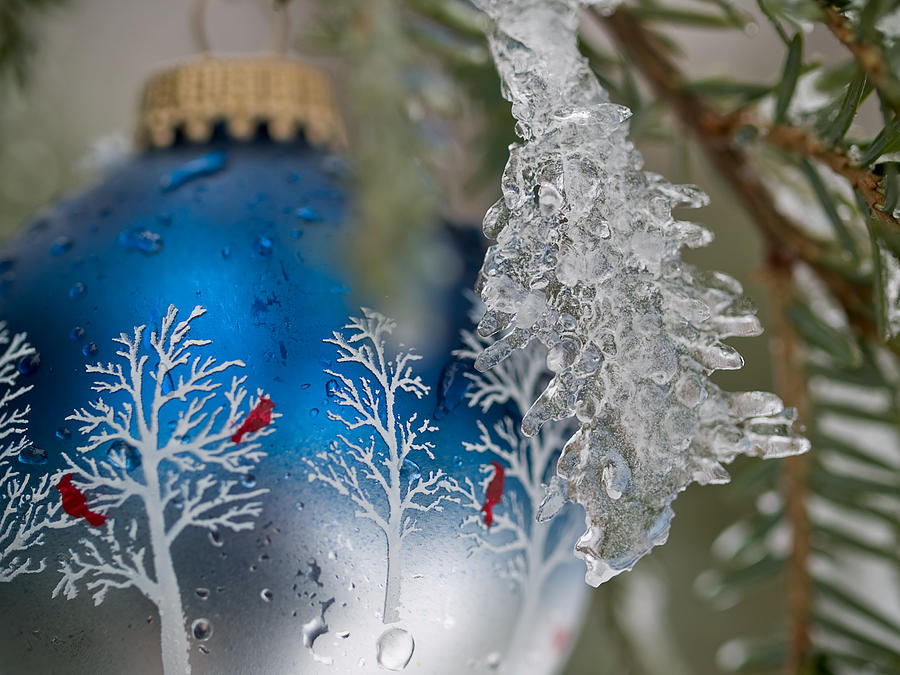 Christmas Ornament with Ice Photograph by Jim DeLillo