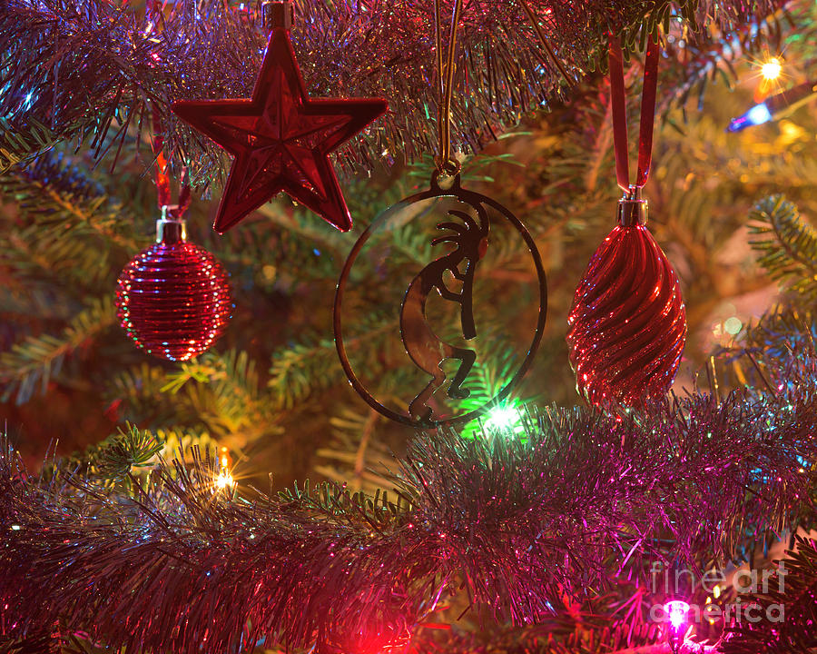 Christmas ornaments Photograph by Agnes Caruso