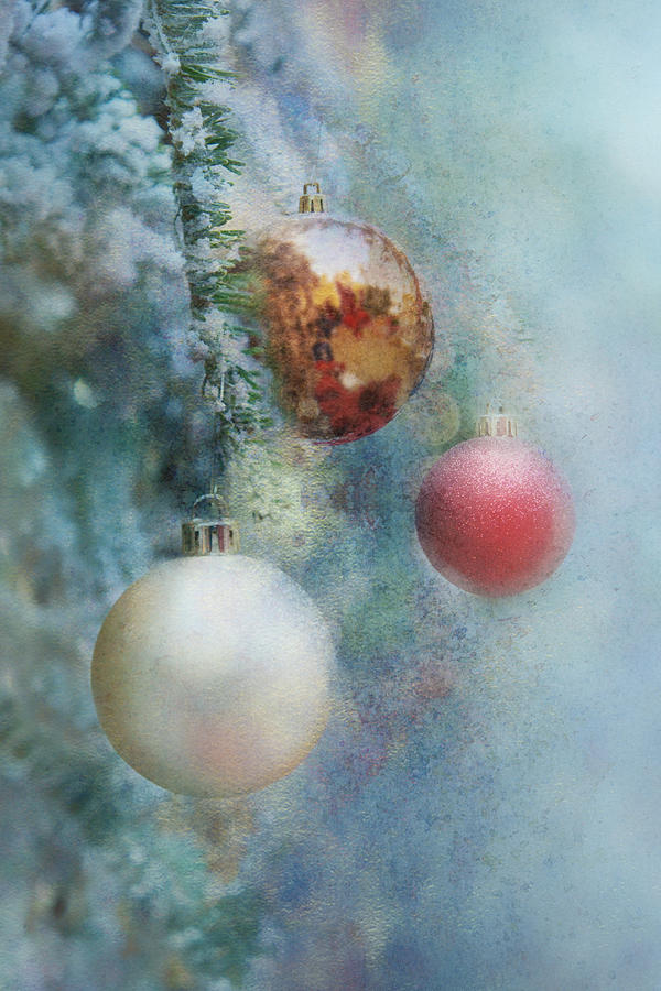 Christmas - Ornaments Photograph by Nikolyn McDonald