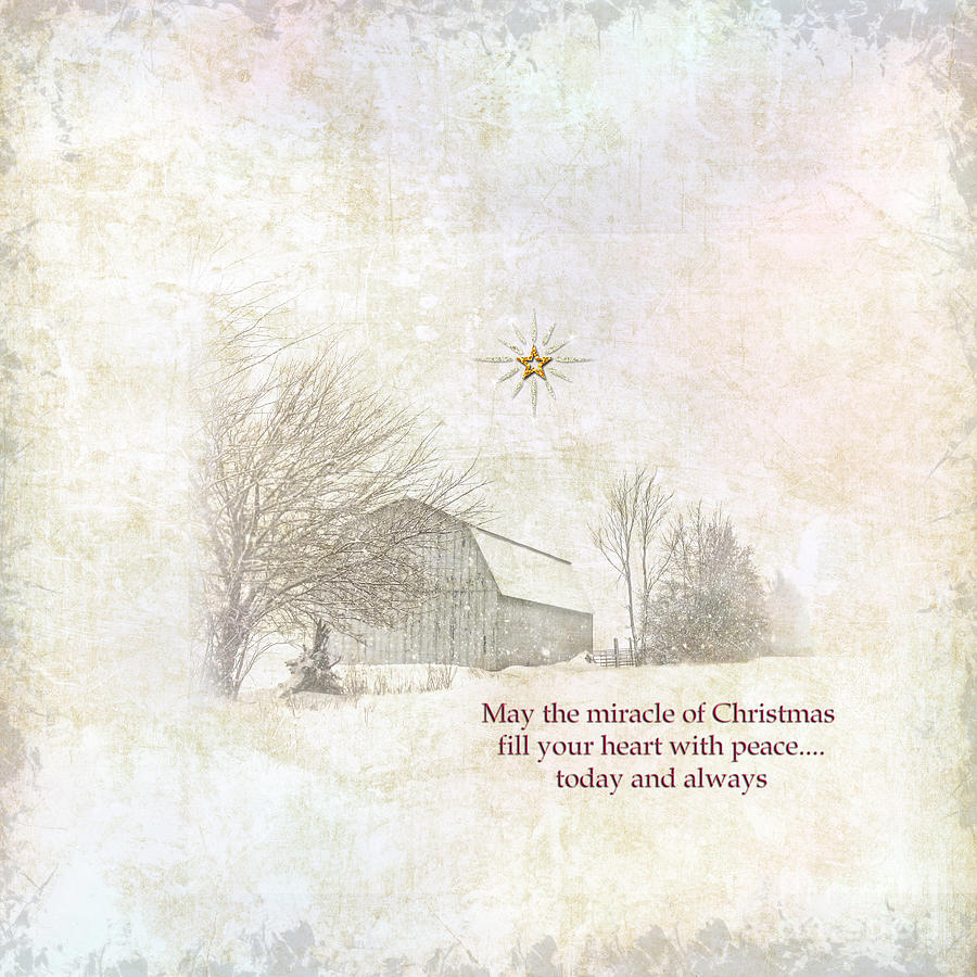 Christmas Peace and Quiet Photograph by Pamela Baker