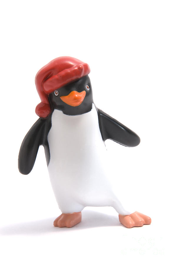 Christmas Penguin Photograph