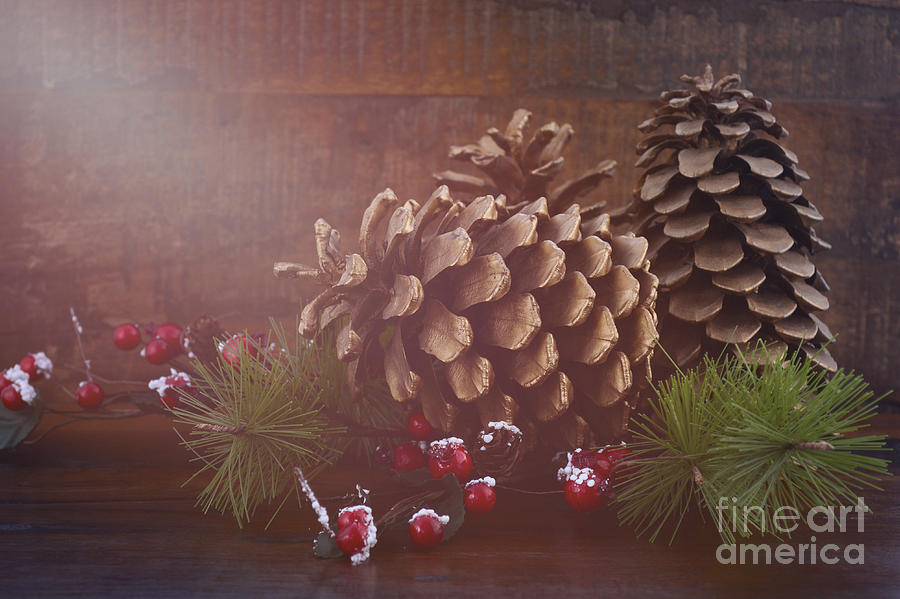 Christmas Pine Cones Decorations #2 Sticker by Milleflore Images