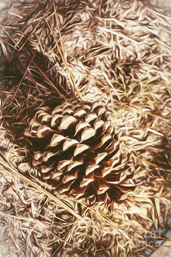 Christmas pinecone on barn floor Painting by Jorgo Photography