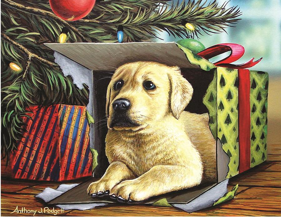 Christmas Pup Painting by Anthony J Padgett