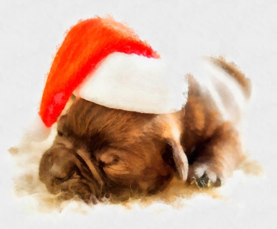 Christmas Painting - Christmas Puppy by Esoterica Art Agency