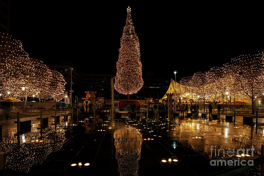 Christmas Reflections Photograph by Dennis Hedberg