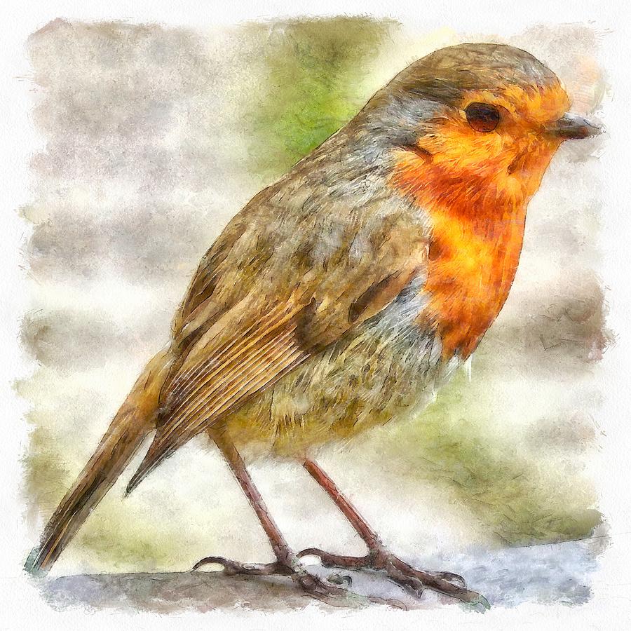 Christmas Robin Winter Watercolor Painting by Taiche Acrylic Art
