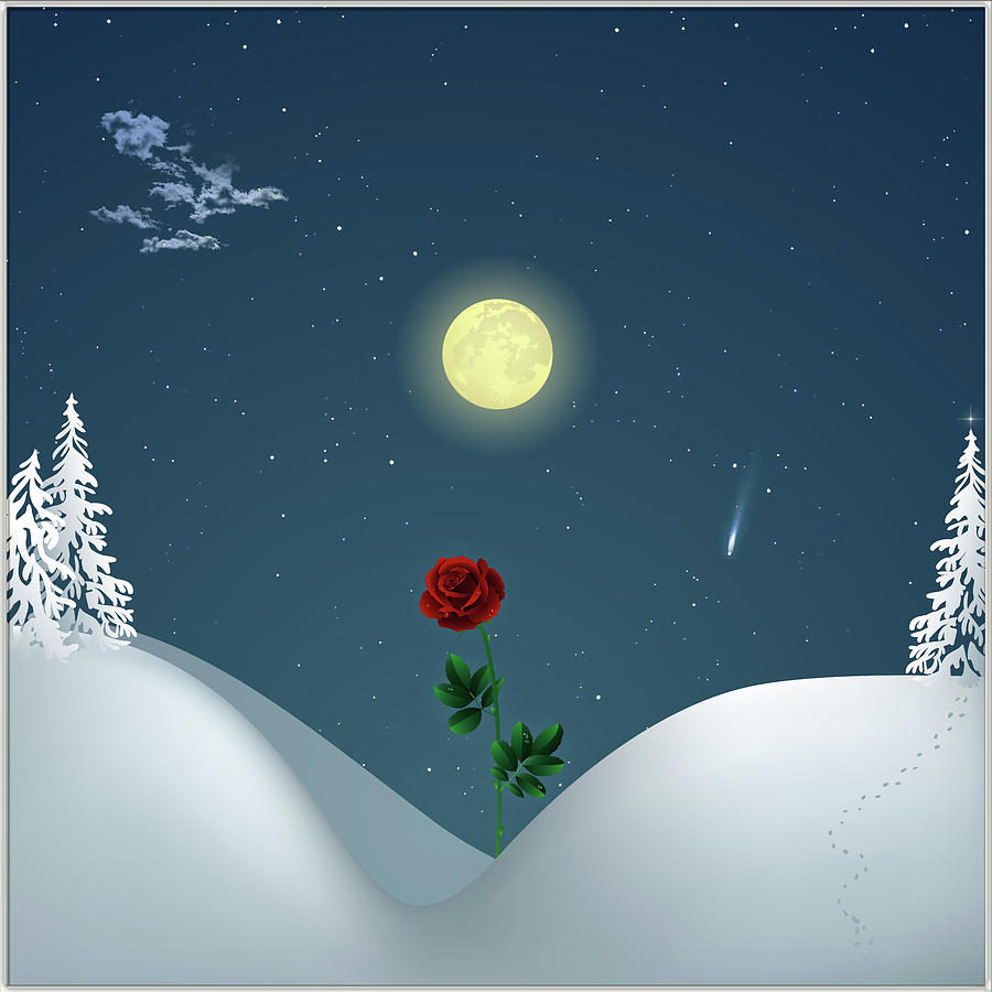 Christmas rose Digital Art by Harald Dastis