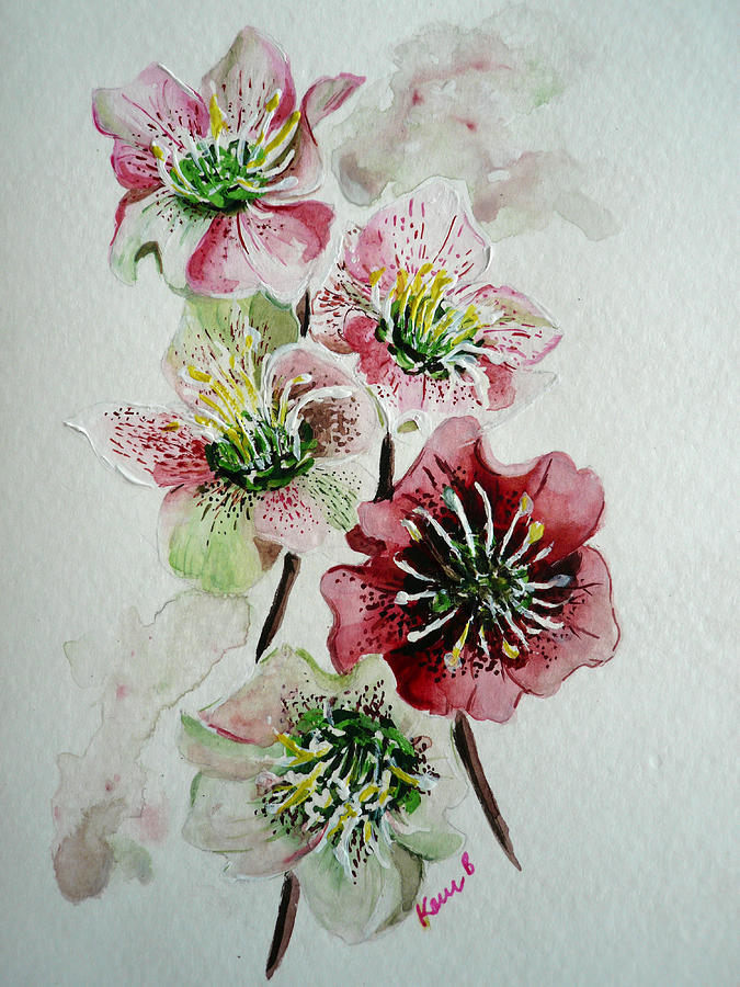 Christmas Rose Painting by Karin  Dawn Kelshall- Best