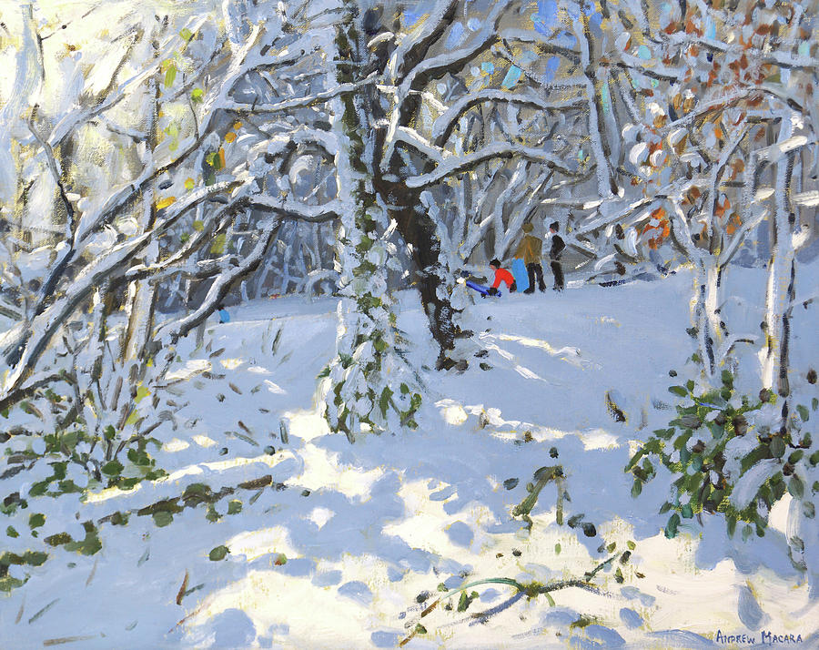 Winter Painting - Christmas sledging in Allestree Woods by Andrew Macara