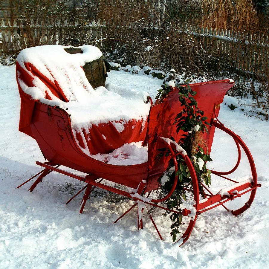 Christmas Sleigh Photograph by Andrew Fare
