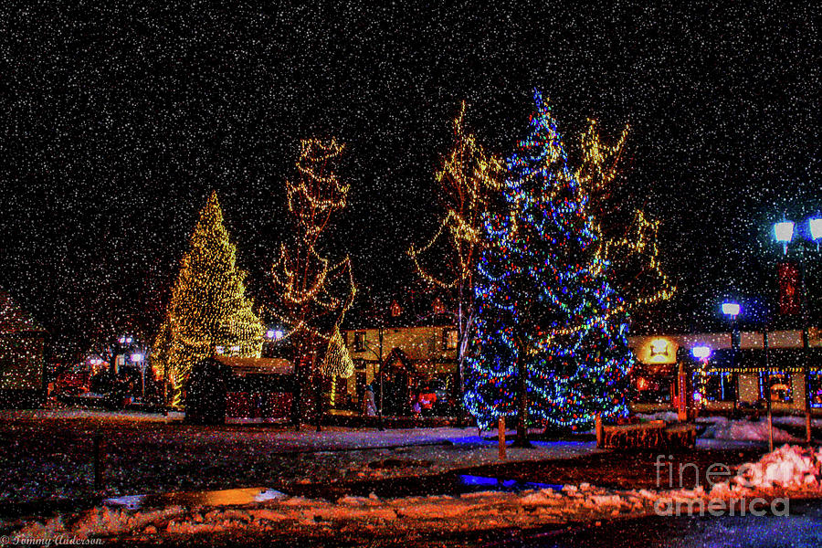 Christmas Snow Storm In Big Bear Photograph by Tommy Anderson