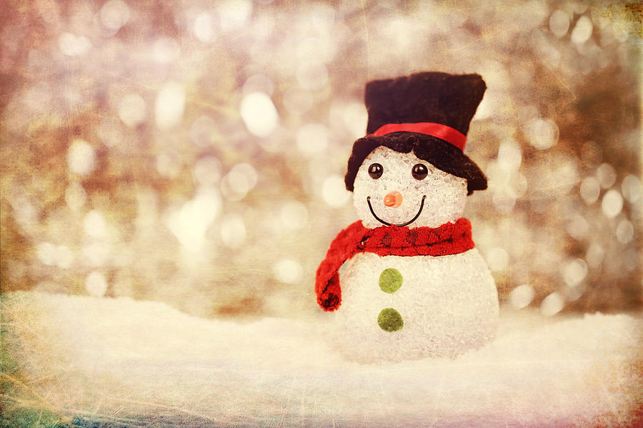 Christmas Snowman Photograph by Bellesouth Studio