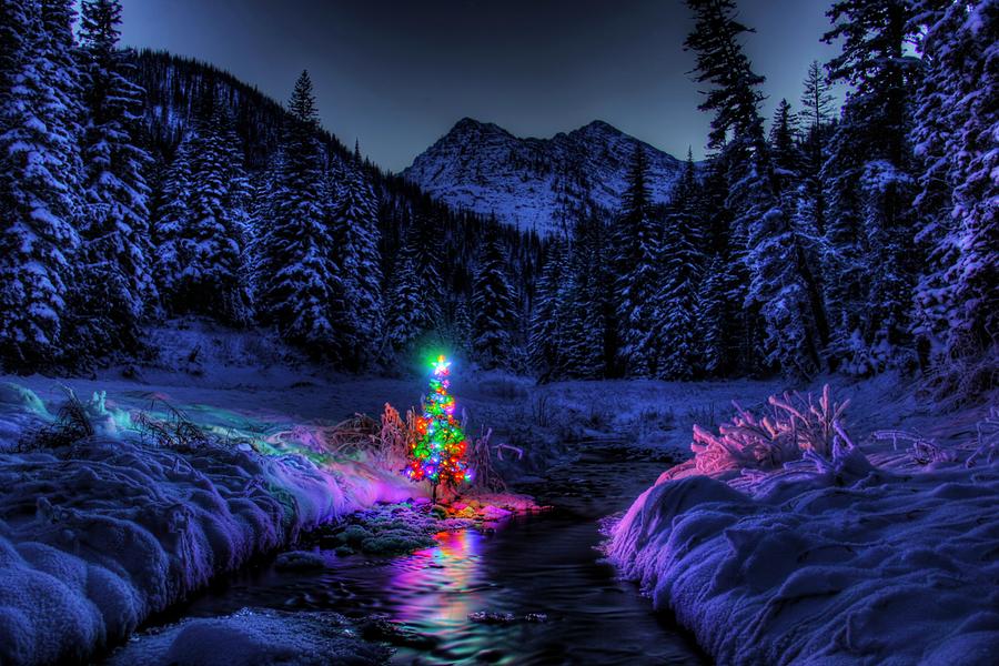 Christmas Photograph - Christmas Spirit In Snowshoe Creek by Robert Hosea