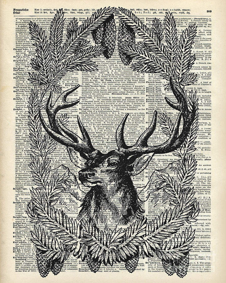 Deer Drawing - Christmas Stag by Anna W