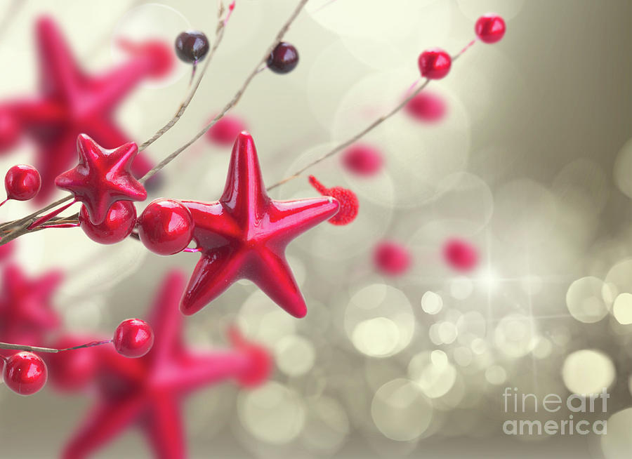 Christmas Stars and Berries  Photograph by Anastasy Yarmolovich
