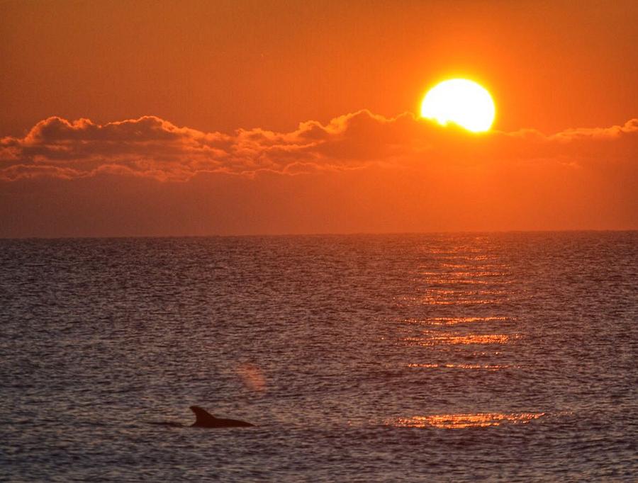 Christmas Sunrise on the Atlantic Ocean Photograph by Sumoflam Photography