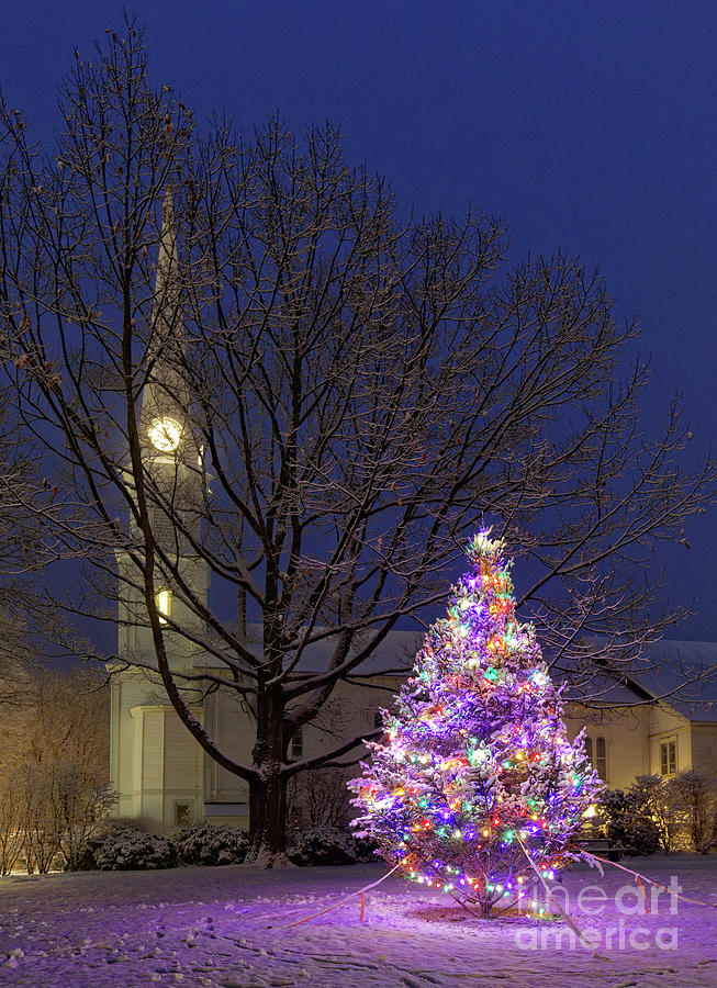 Christmas tree and church, Maine Photograph by Kevin Shields