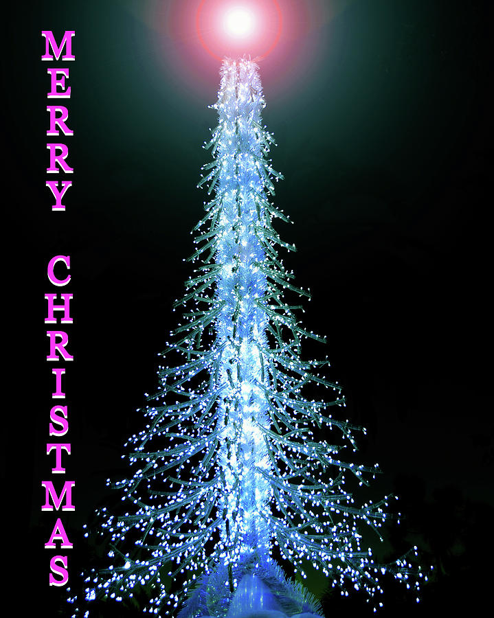 Christmas tree and star custom card Photograph by David Lee Thompson