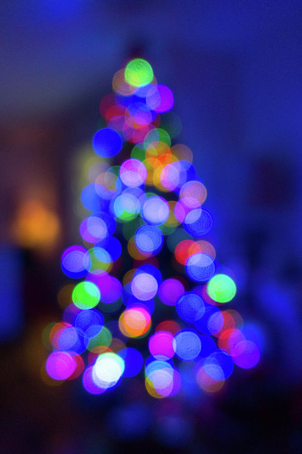 Christmas Tree Bokeh Photograph by SR Green