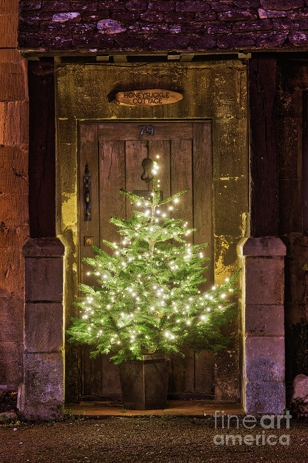 Christmas Tree Cottage Photograph by Tim Gainey