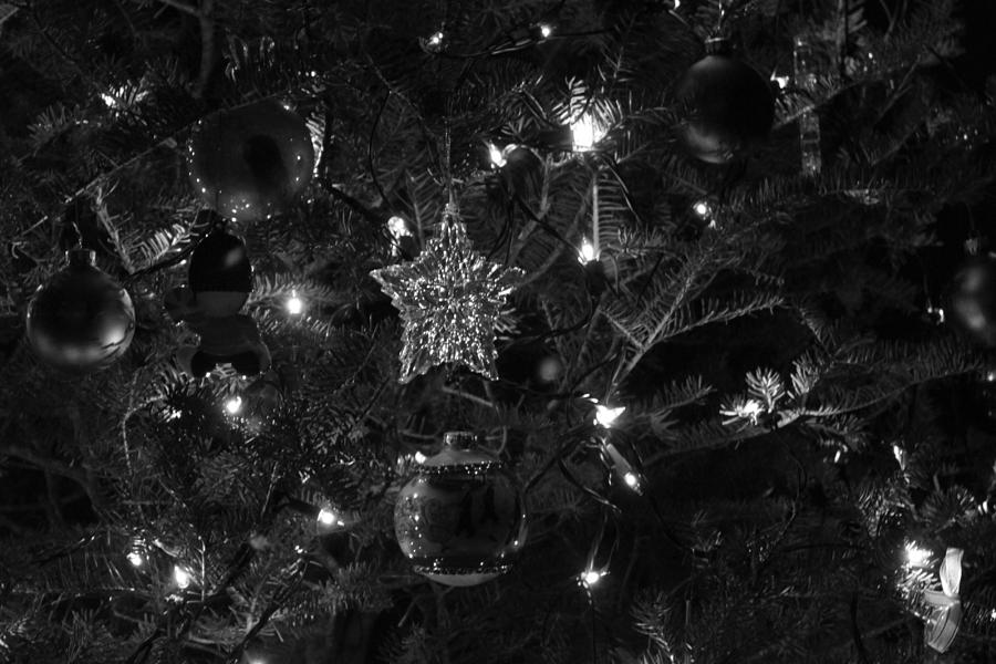 Christmas Tree Decorations Photograph by Lauri Novak