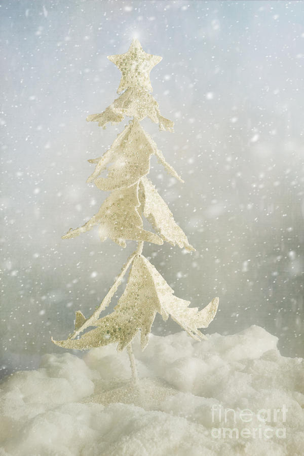 Christmas Tree Fantasy Photograph by Ann Garrett