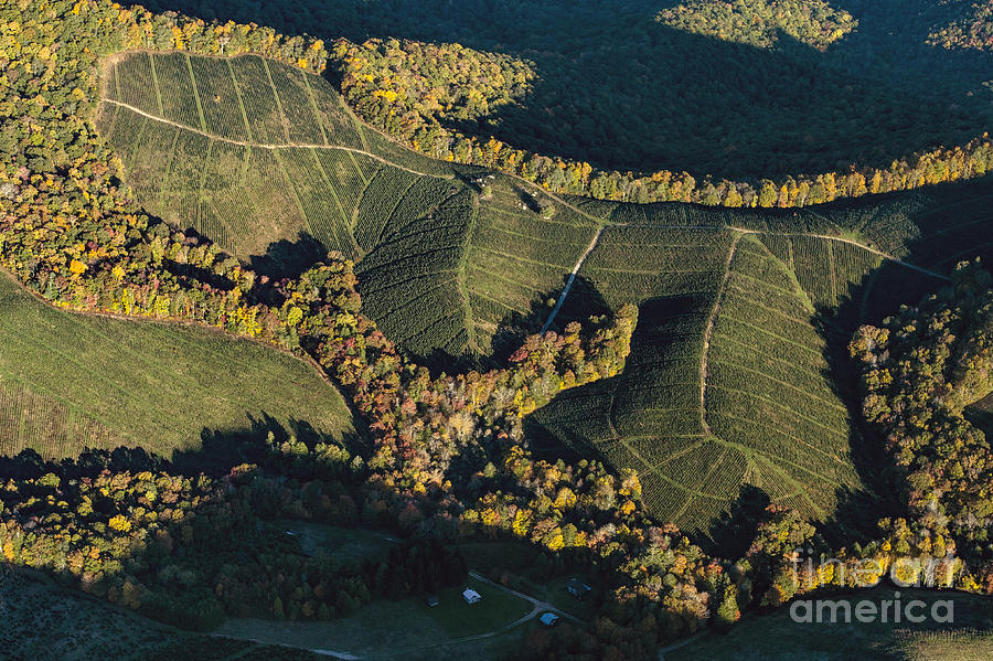 Christmas Tree Farm in Mountains of North Carolina Aerial Photo Photograph by David Oppenheimer