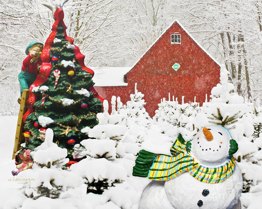 Winter Digital Art - Christmas Tree Farm by Ken and Lois Wilder