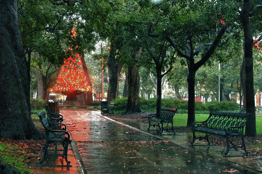 Christmas Tree in Bienville Square Mobile Alabama Photograph by Michael Thomas
