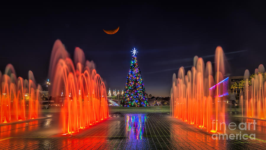 Christmas Tree In Curtis Hixon Park Photograph by Jason Ludwig Photography