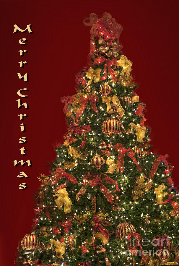 Christmas Tree in Eed and Gold Photograph by Linda Phelps
