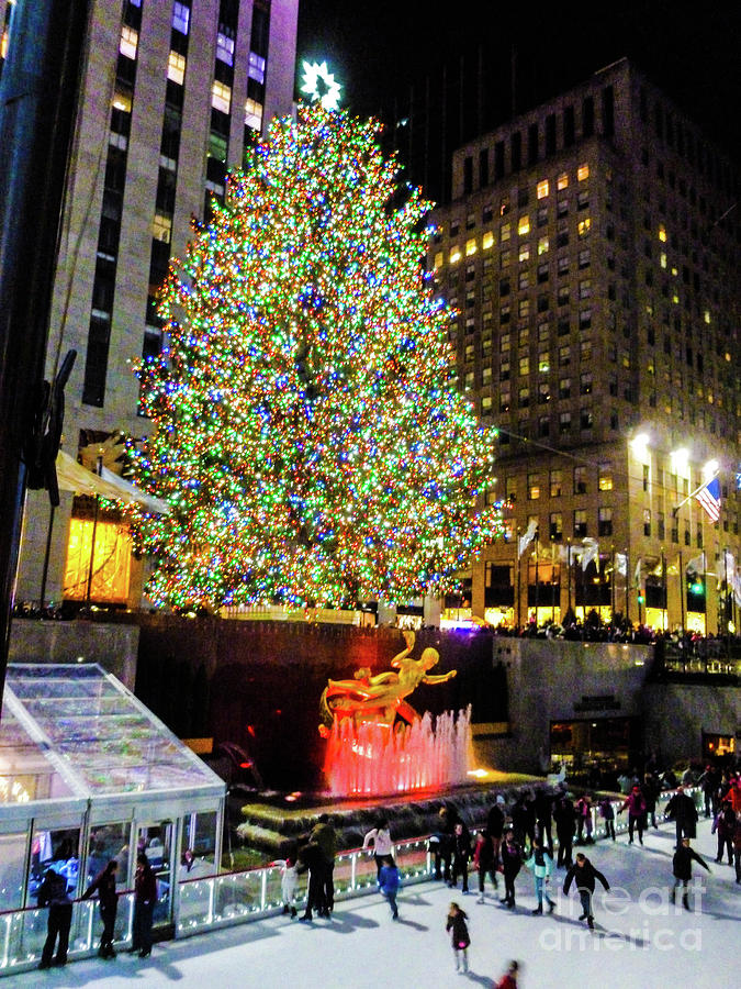 Christmas Tree in New York CIty Photograph by William E Rogers - Fine ...