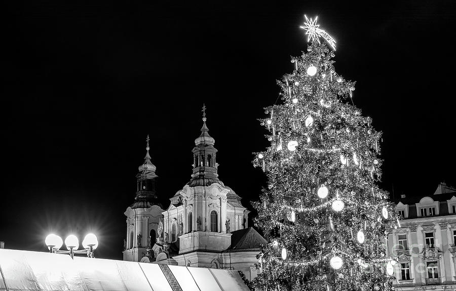 Christmas Tree in Prague Photograph by John Rizzuto