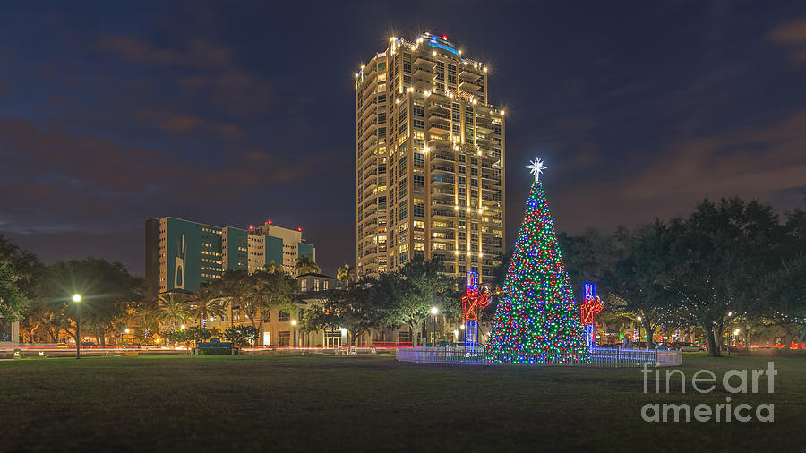 Christmas Tree in St Petersburg, Florida Photograph by Jason Ludwig