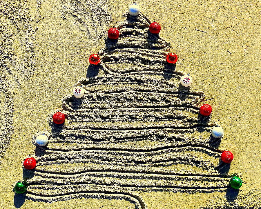 Christmas Tree In The Sand 2 129 By Mark Lemmon