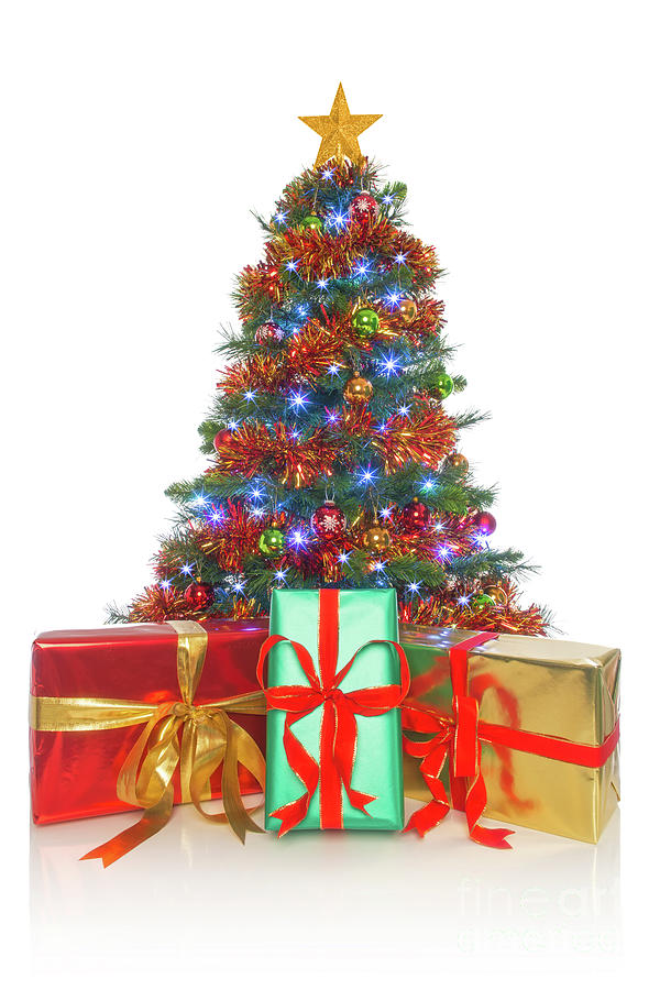 Christmas Tree Isolated With Gifts In Front Photograph