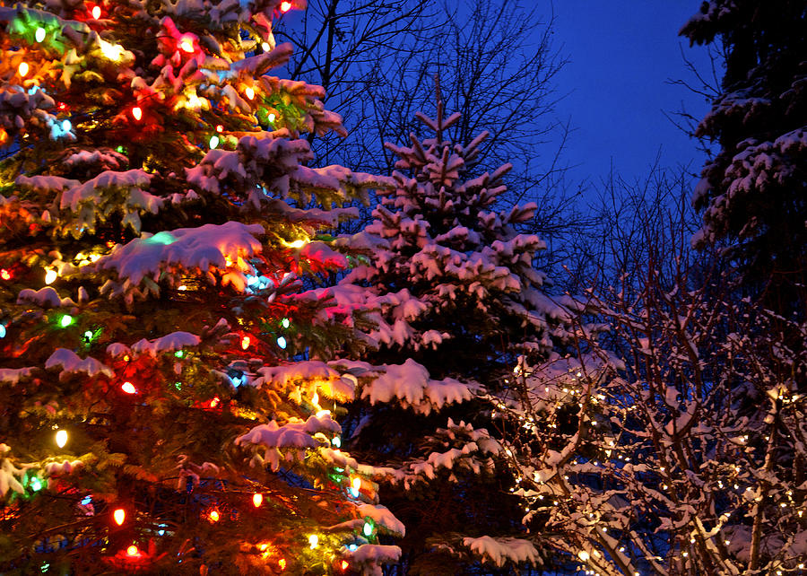Winter Photograph - Christmas Tree Lights 4 by Robert Joseph
