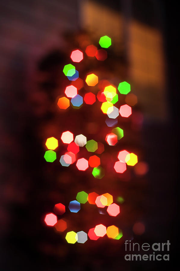 Christmas Tree Lights Photograph by Jim Corwin