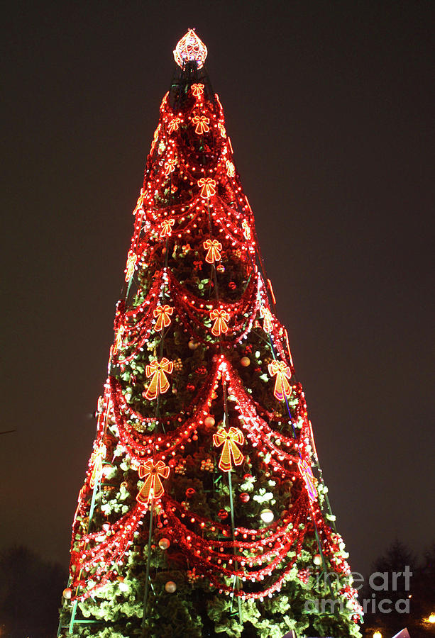 Christmas tree, Moscow Photograph by Irina Afonskaya