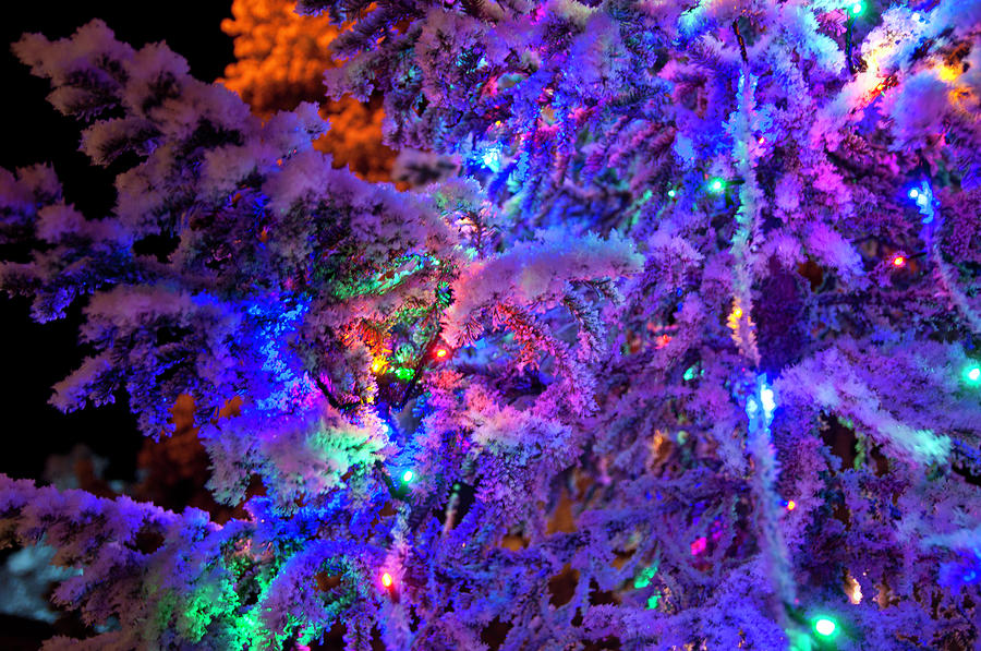 Christmas Tree Night Decoration Photograph