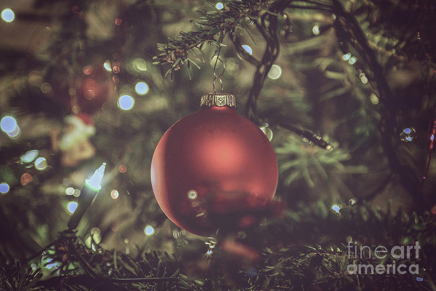 Christmas tree with red ball Photograph by Patricia Hofmeester