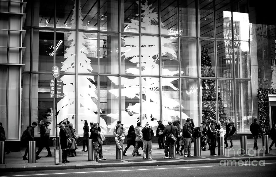 Christmas Trees on 42nd Street New York City Photograph by John Rizzuto