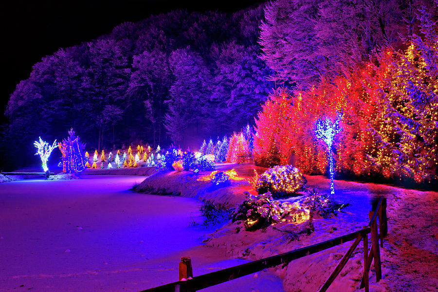 Christmas trees row and frozen lake view Photograph by Brch Photography