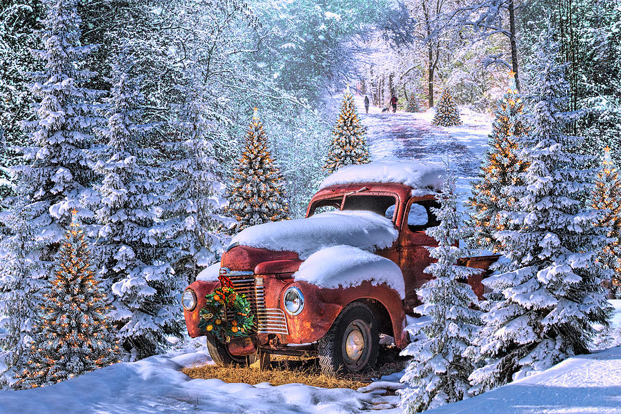 Christmas Truck in a Magical Forest of Lights Photograph by Debra and Dave Vanderlaan