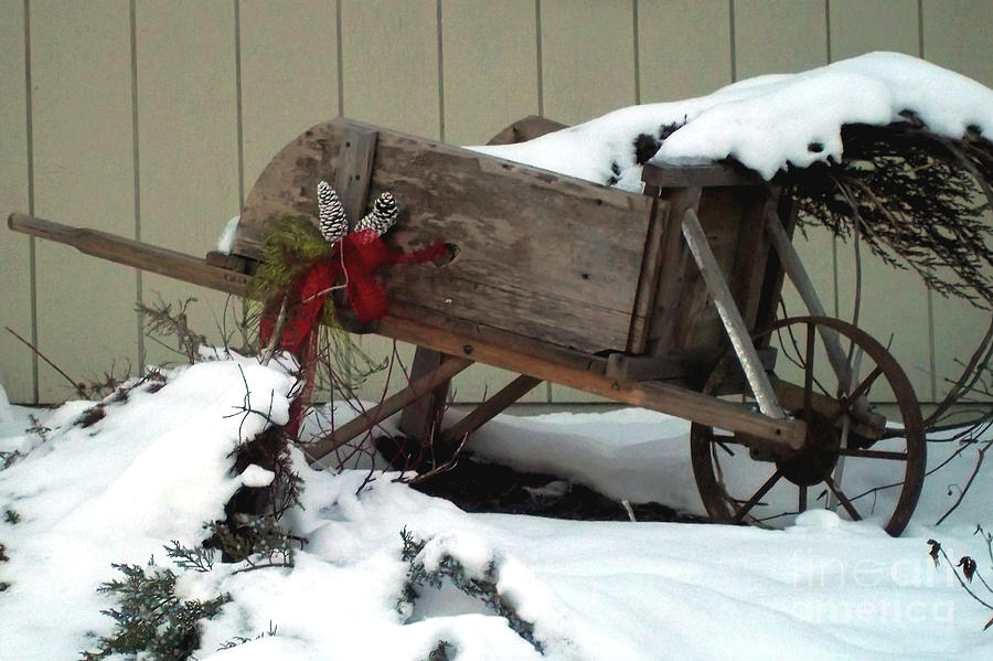 Christmas Wheelbarrow Photograph by Laura Birr Brown - Fine Art America