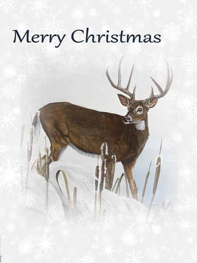Christmas Whitetail Deer Painting by Johanna Lerwick